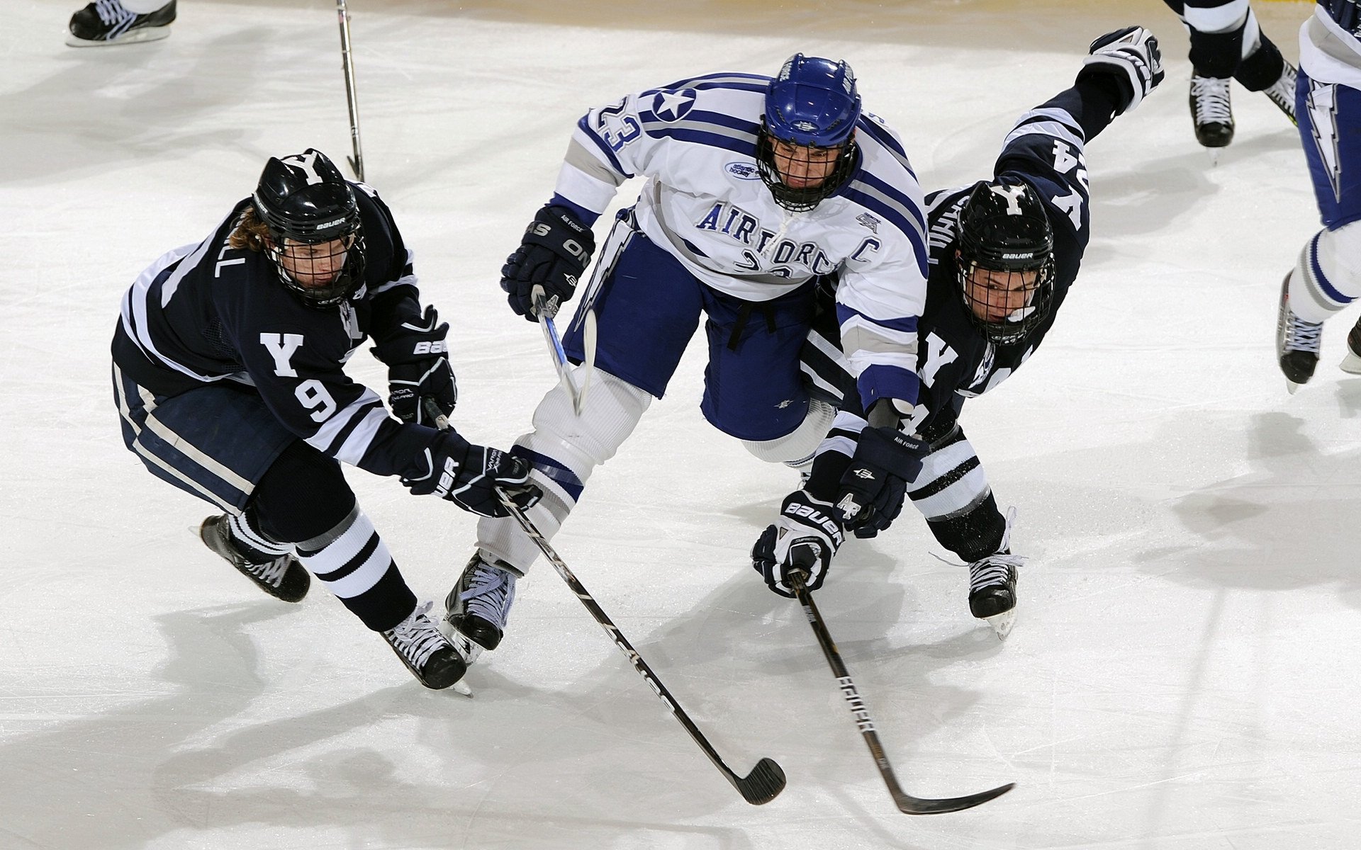 黄蜂制霸尼克斯，霍勒迪持续制造杀伤背后的战术革命